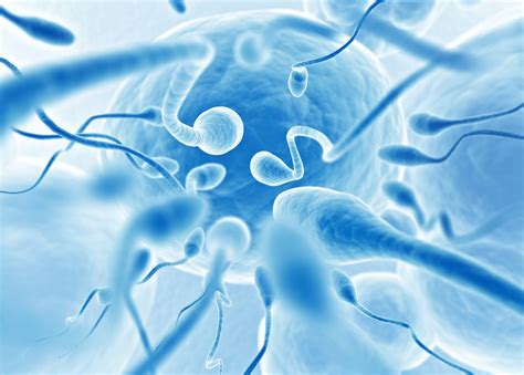 Sperm total motilite nedir